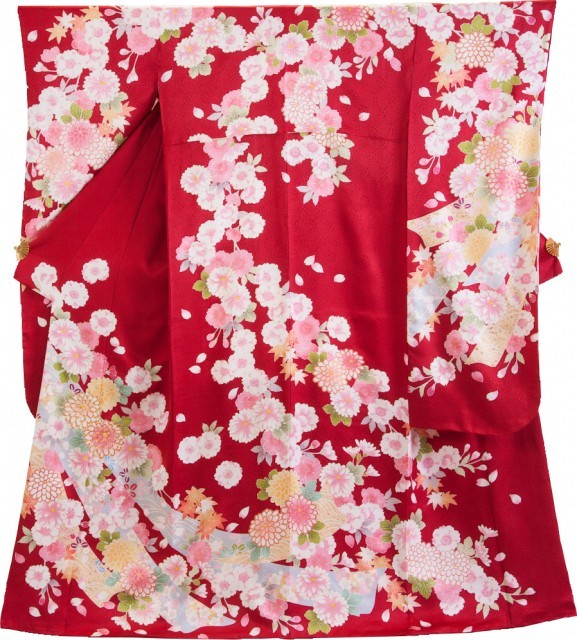 菊文に熨斗文様2